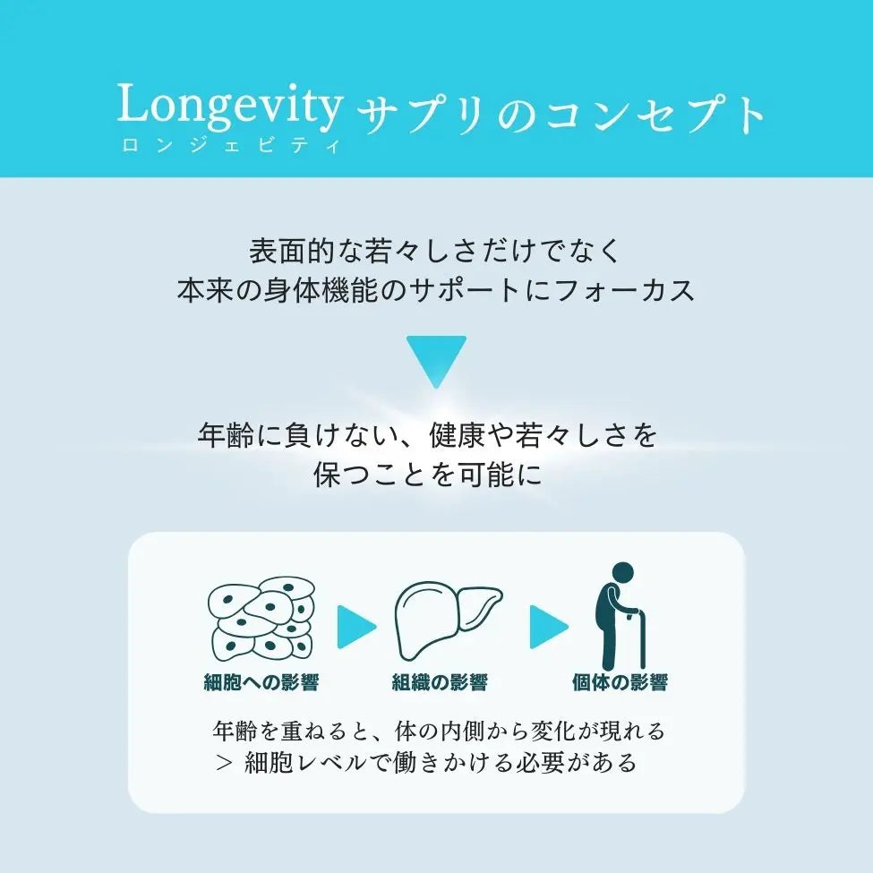 Longevity（ロンジェビティ）