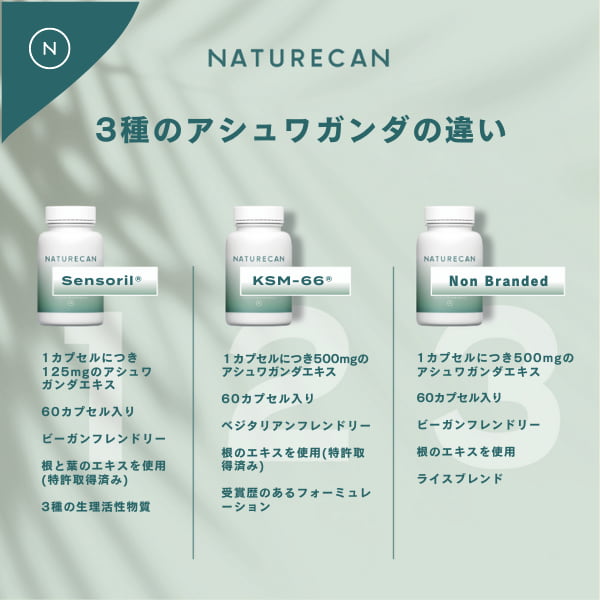 KSM-66®【アシュワガンダ】サプリ | Naturecan Fitness (ネイチャー 
